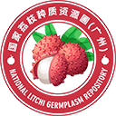 荔枝種質資源共享