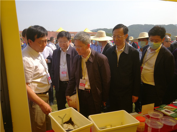 圖片說明