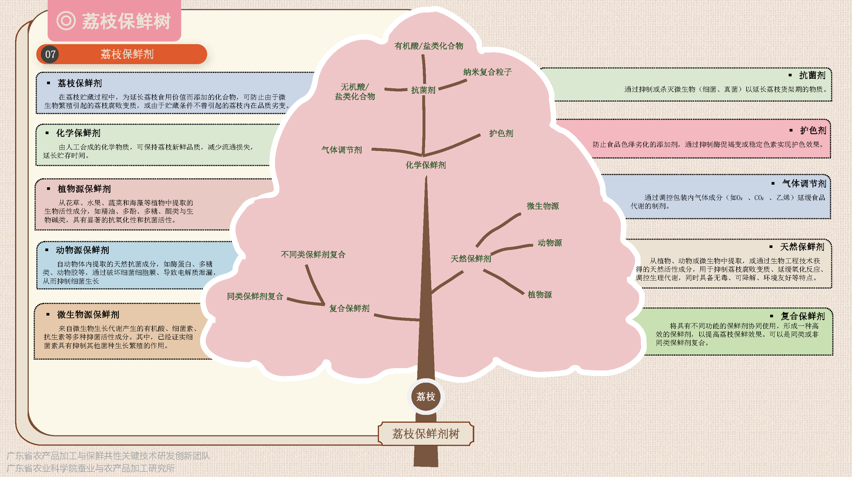 荔枝保鮮加工樹(1)-定稿_頁麵_3.png
