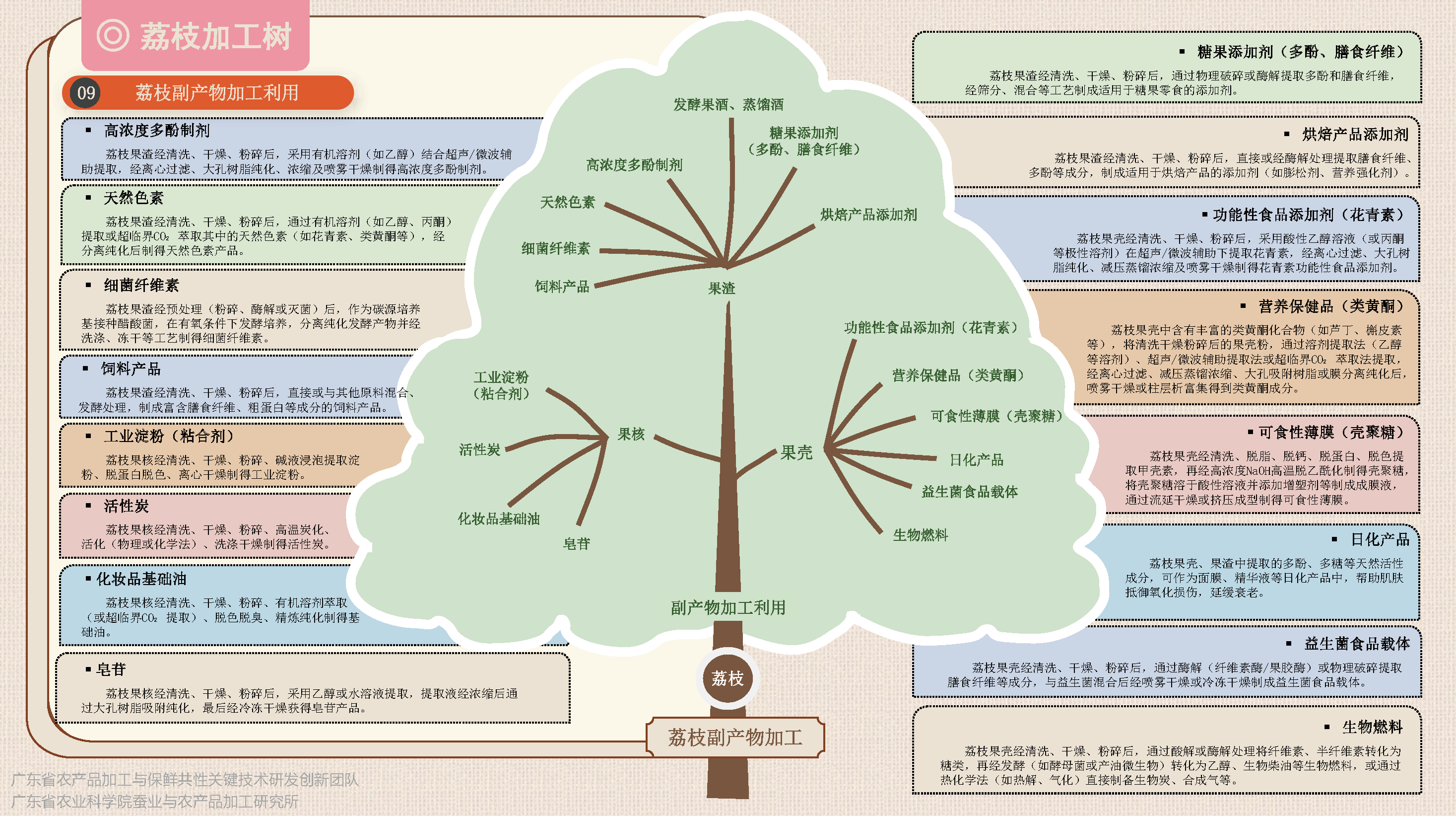 荔枝保鮮加工樹(1)-定稿_頁麵_8.png