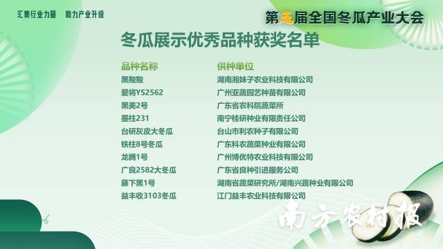 南方農村報 吳秒衡 拍攝