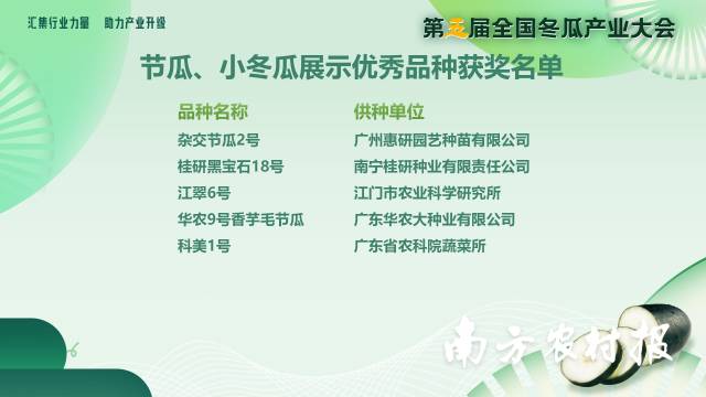 南方農村報 吳秒衡 拍攝