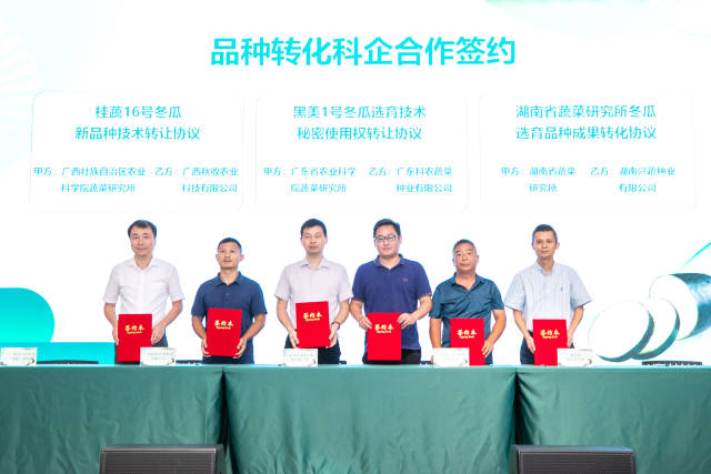 活動現場舉行冬瓜品種轉化科企合作簽約