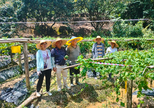 植保所科技特派員到從化開展科技服務.jpg